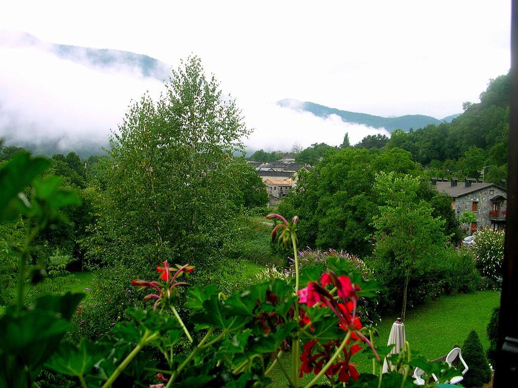 Hotel Vina Olivan Sarvise Room photo
