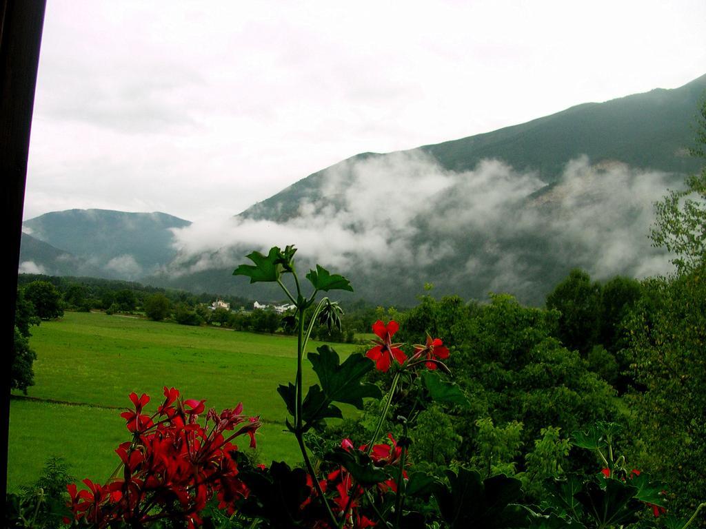 Hotel Vina Olivan Sarvise Room photo